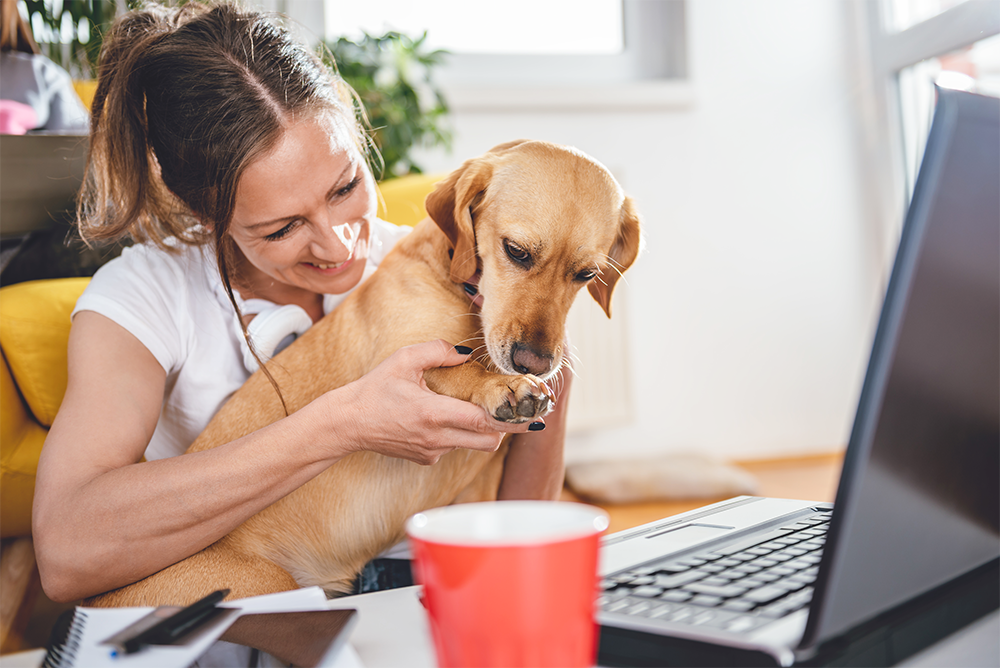 Life Lessons You Can Learn From Your Dog